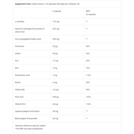 BioTechUSA Mega Burner (90 Caps)