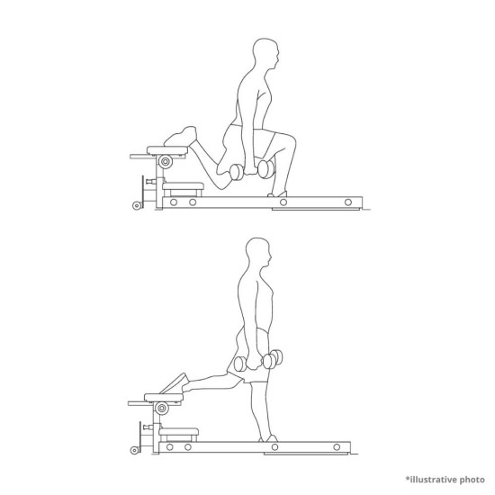 Hip Thrust Machine inSPORTline X-NT HT10 Hip Thrust