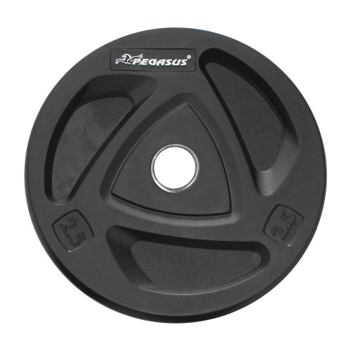 Ολυμπιακός Δίσκος με Λάστιχο (2.5 kg) Ολυμπιακός Δίσκος με Λάστιχο (2.5 kg)