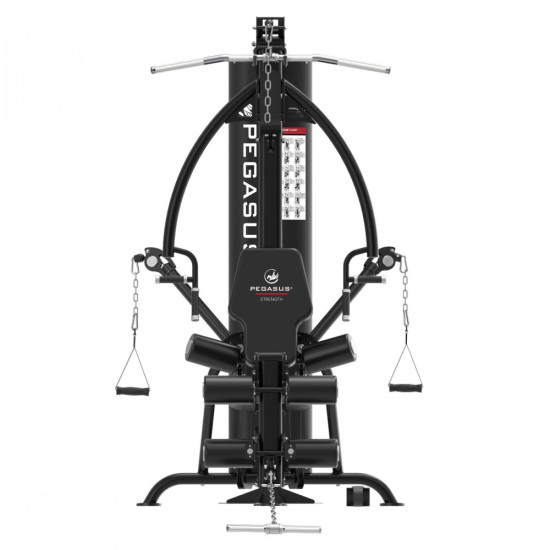 Πολυόργανο Pegasus® HG8 Πολυόργανο Pegasus® HG8