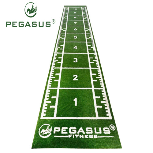 Pegasus® Συνθετικός Χλοοτάπητας 2x11m (3159)