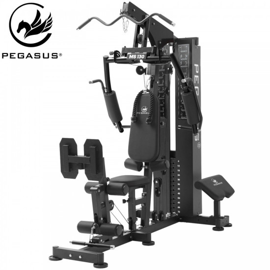Πολυόργανο Pegasus® MS-130 Πολυόργανο Pegasus® MS-130