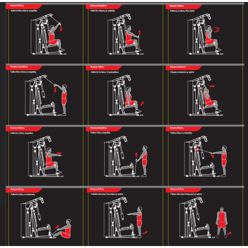 Πολυόργανο Pegasus® MS-600 Πολυόργανο Pegasus® MS-600