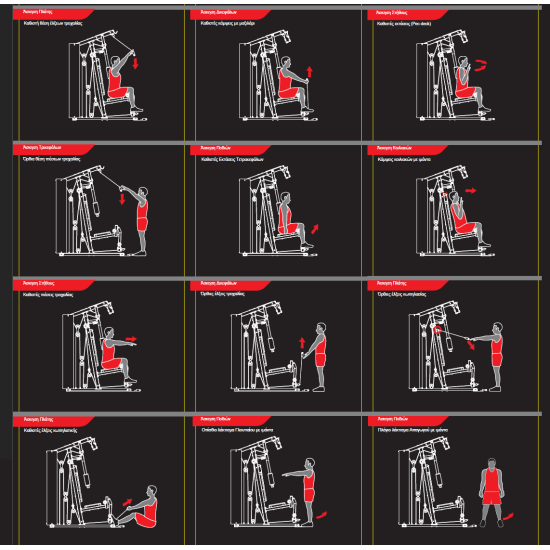 Πολυόργανο Pegasus® MS-600 Πολυόργανο Pegasus® MS-600