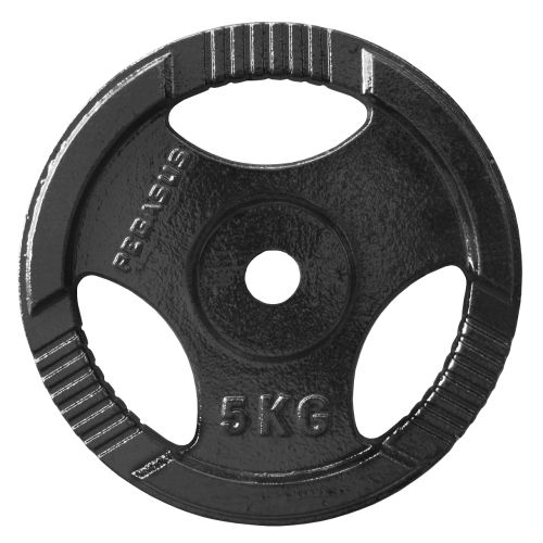 Ελεύθερα Βάρη Δίσκος Σφυρήλατος Ø29 (5 kg)