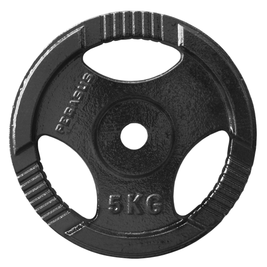 Ελεύθερα Βάρη Δίσκος Σφυρήλατος Ø29 (5 kg)