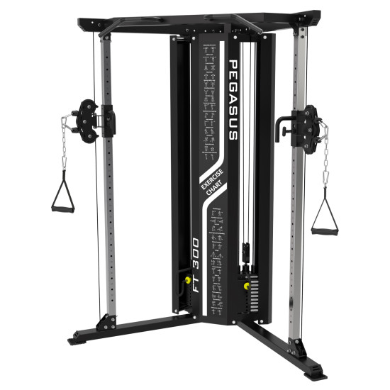 Pegasus® Functional Trainer FT-300 Pegasus® Functional Trainer FT-300