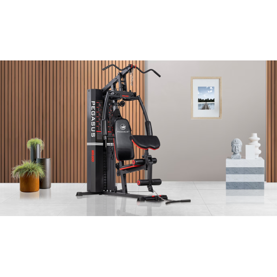 Πολυόργανο Pegasus® MS-600 Πολυόργανο Pegasus® MS-600