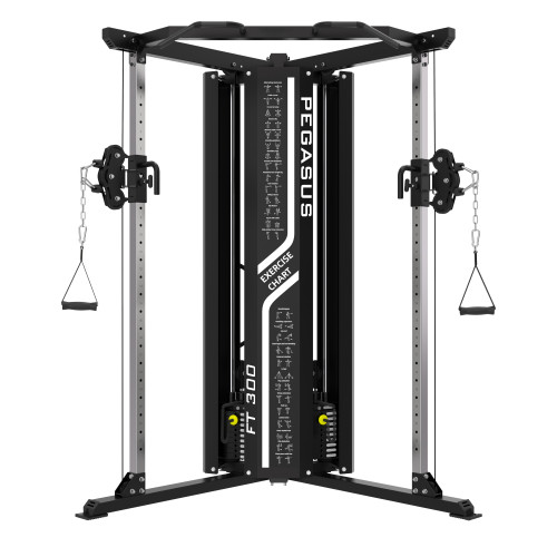 Pegasus® Functional Trainer FT-300 Pegasus® Functional Trainer FT-300