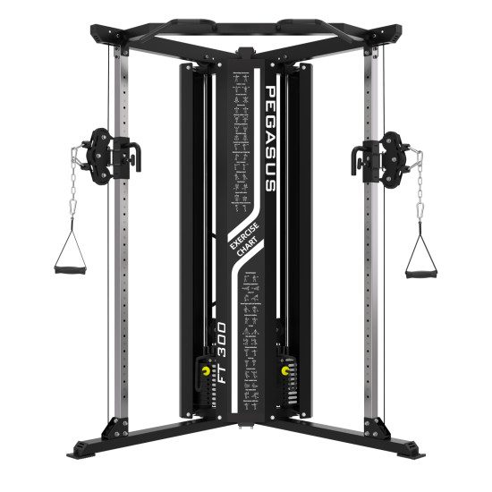 Pegasus® Functional Trainer FT-300 Pegasus® Functional Trainer FT-300