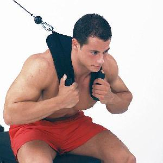 Ab Crunch Harness inSPORTline