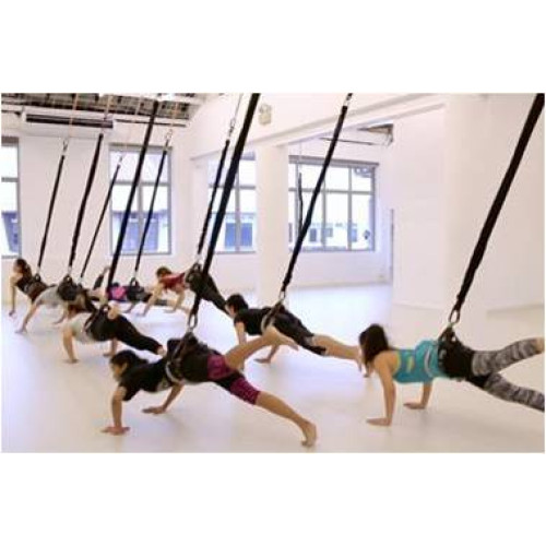 BUNGEE FITNESS OPTIMUM BUNGEE FITNESS OPTIMUM